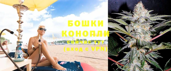 трава Новокубанск