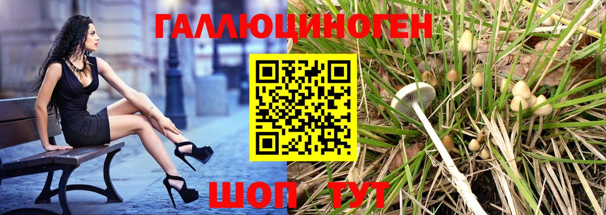 Кудымкар  Галлюциногенные грибы мухоморы  Псилоцибиновые грибы мицелий  Вход с VPN 