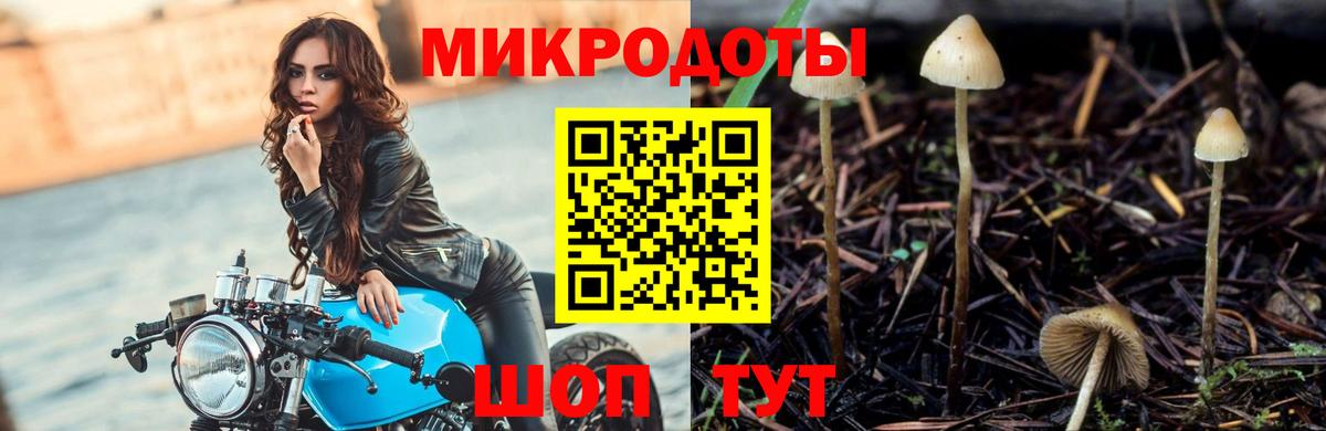 Галлюциногенные грибы ЛСД Кудымкар